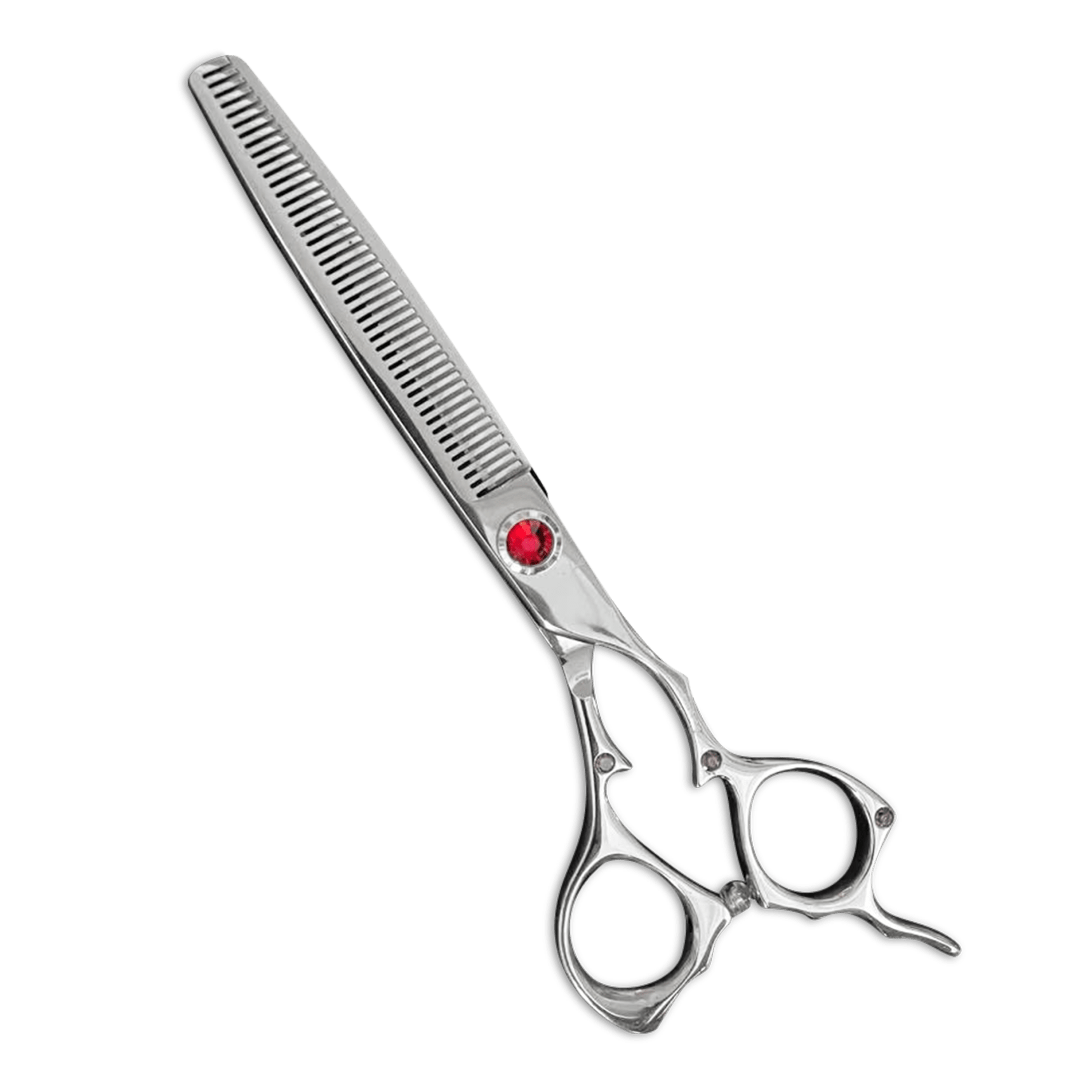 How to Groom a Corgi - All About Welsh Corgis