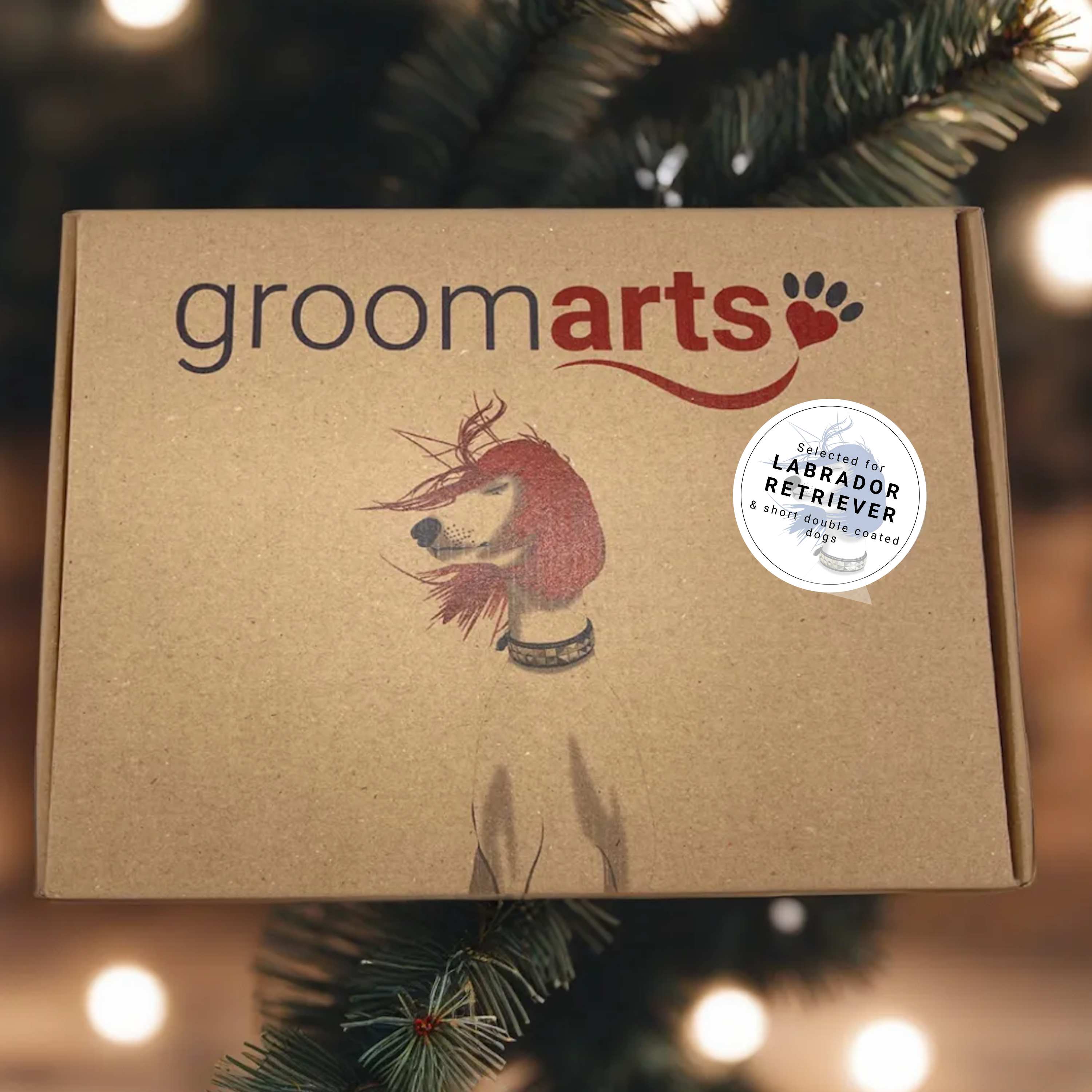 Labrador Groomers Double Coat Labrador Dog Labrador Retriever