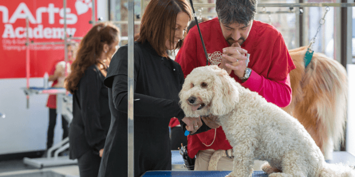 Laura Campanella Founder of Groomarts Academy Dog Grooming Courses