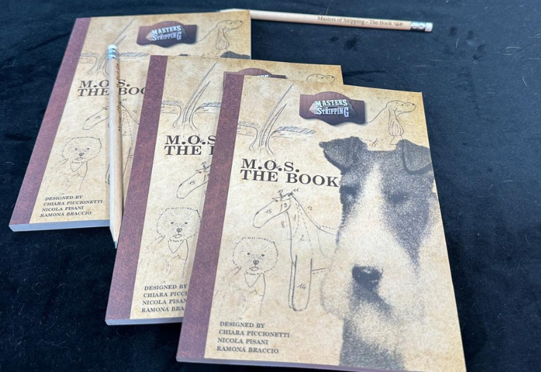 Masters of Stripping the book